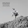 Sylvain Chauveau &  Ensemble Nocturne - Down to the Bone (An Acoustic Tribute to Depeche Mode)